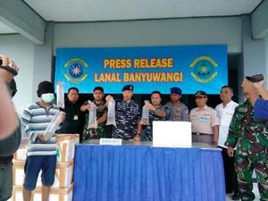 Penyelundupan Puluhan Ribu Benih Benur yang Diekspor ke Luar Negeri Digagalkan