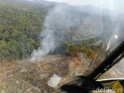 Ini Penampakan Lahan yang Terbakar di Riau dari Udara, Akan Disegel Satgas