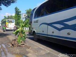 Warga Tanam Pohon Pisang di Jalan Berlubang di Jalur Mudik Ajibarang-Wangon