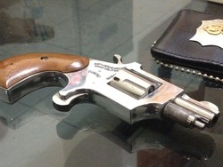 Koboi Jalanan Penembak Sopir Angkot di Bogor Seorang Mahasiswa, Ini Pistolnya