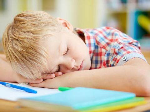 Tired elementary pupil napping by desk after lessons