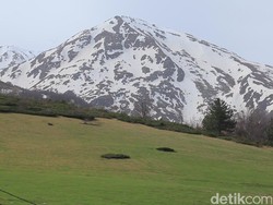 Fakta Kosovo, Negara yang Belum Diakui Indonesia
