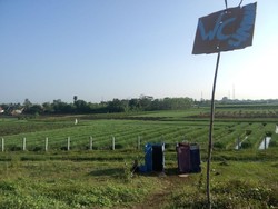 WC Darurat Laku Keras di Kemacetan Tol Pejagan, Penjaga Raup Rp 600 Ribu