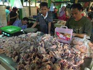 H-2 Lebaran Harga Ayam Naik, Dijual Rp 35.000/kg