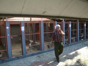 Libur Lebaran, Tempat Penitipan Hewan di Surabaya ini Juga Menerima Sapi