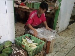 Sehari Jelang Lebaran, Pedagang Mampu Jual 100 Kg Pepaya Muda