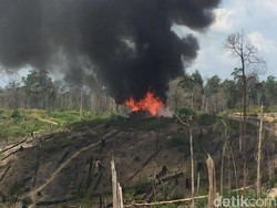 Barak Pembakar Lahan di TNTN Dibakar Satgas Pencegahan Kebakaran Hutan