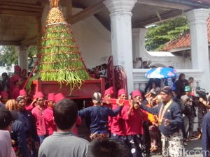 Meriahnya Rebutan Gunungan Grebeg Syawal Keraton Yogyakarta