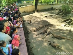 Kata Pengelola Wisata di Surabaya Terkait Kebijakan Boleh Lepas Masker