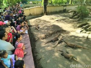 Kata Pengelola Wisata di Surabaya Terkait Kebijakan Boleh Lepas Masker Kata Pengelola Wisata di Surabaya Terkait Kebijakan Boleh Lepas Masker