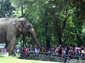 Libur Lebaran, Lebih dari 100 Ribu Warga Penuhi Kebun Binatang Ragunan