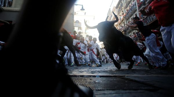 Berlari Bersama Banteng di Festival San Fermin