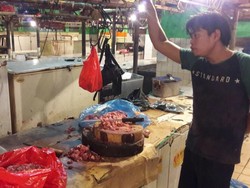 Importir Daging: Dulu Impor Jeroan Dilarang, Kenapa Sekarang Dibuka?