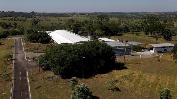 Melongok Isi Pabrik Kondom Karet Alami di Hutan Amazon