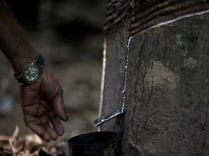 3 Negara Punya Jurus Dongkrak Harga Karet, Pengusaha Nilai Belum Ngefek 3 Negara Punya Jurus Dongkrak Harga Karet, Pengusaha Nilai Belum Ngefek