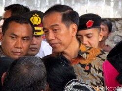 Sudah Selayaknya Presiden Jokowi Bersikap Netral di Kontestasi Pilkada