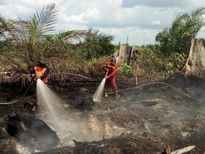 BPBD Riau: Kebakaran 15 Hektar Lahan di Siak Berhasil Dipadamkan BPBD Riau: Kebakaran 15 Hektar Lahan di Siak Berhasil Dipadamkan