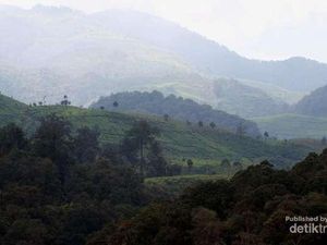 Mumpung Libur Sekolah, Ajak si Buah Hati ke 10 Destinasi Keren di Bandung