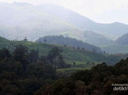 Mumpung Libur Sekolah, Ajak si Buah Hati ke 10 Destinasi Keren di Bandung