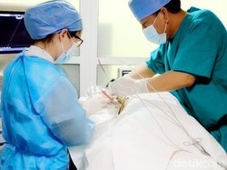 Begini RS di China Mengantisipasi Banyaknya Pasien Kanker dari Luar Negeri