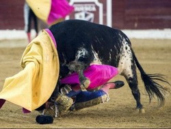 Matador Profesional Tewas Diseruduk Banteng