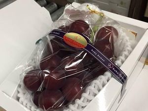 Setangkai Anggur dari Jepang Ini Dilelang dengan Harga Rp. 143 Juta