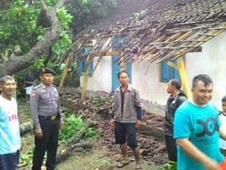 Puting Beliung Robohkan Puluhan Pohon di Blitar