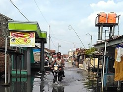 Dua Desa di Kabupaten Demak Ini Sudah 2 Bulan Tergenang Banjir Rob