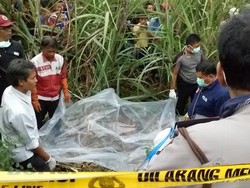 Mayat Perempuan dengan Luka di Perut dan Leher Ditemukan di Kebun Tebu