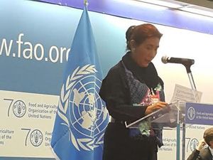 Ratifikasi PSMA, Indonesia Makin Serius Perangi Illegal Fishing