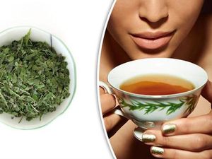 Guradji, Teh Asli Australia yang Berkhasiat Cegah Kanker dan Alzheimer