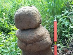 Menelisik Kaitan Artefak Bidak Catur di Sukabumi dan Situs Gunung Padang