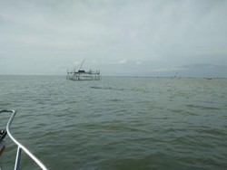 Nelayan Gagal Selamatkan Hiu Tutul Seberat 1 Ton yang Terdampar di Pantai Menganti