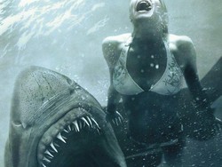 Serangan Hiu Sampai ke Indonesia Malam Ini