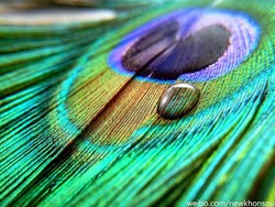 Petinggi Meizu Pamer Foto Jepretan MX6