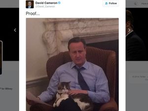 Pergantian PM Inggris dan Kisah Larry Si Pemburu Tikus di Downing Street