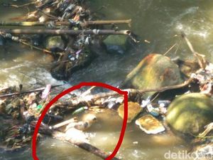 Korban Mutilasi di Bogor Diduga Laki-laki, Tak Ada Ciri Khusus