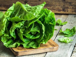 Ini 10 Sayuran Hijau dengan Nutrisi Paling Hebat (2)