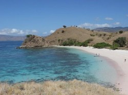 5 Spot Berenang Super Asyik di Flores