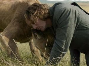 Sinopsis The Legend of Tarzan: Menyingkap Misteri di Hutan Kongo Sinopsis The Legend of Tarzan: Menyingkap Misteri di Hutan Kongo