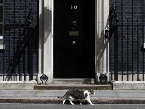 Salam Perpisahan Cameron untuk Larry The Cat yang Bertahan di Kantor PM