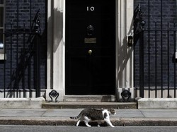 Salam Perpisahan Cameron untuk Larry The Cat yang Bertahan di Kantor PM