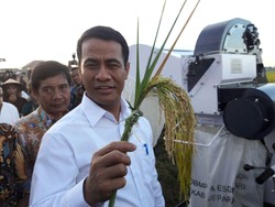 Mentan Tak Terima Dianggap Tak Konsisten Soal Impor Jeroan