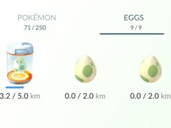 Harus Menetaskan Berapa Butir Telur Pokemon untuk Bisa Langsing?