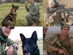 Anjing Tentara AS di Afghanistan Mendapat Medali Keberanian