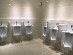 Kenapa Ada Lalat di Urinoir Toilet Cowok?