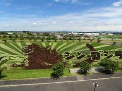 Godzilla Muncul di Tengah Sawah Jepang