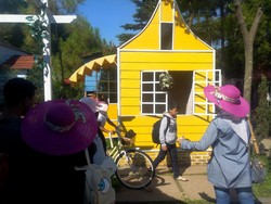 Cerita Pemilik Kampung Tulip yang Terinspirasi dari Keindahan Negara Kincir Angin