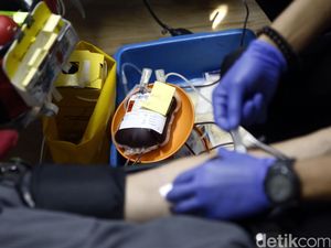Urgen! Stok Darah PMI Aceh Utara Menipis