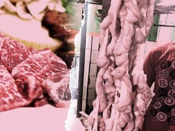 Kementan: Impor Jeroan Sudah Lama, Tapi Baru Sekarang Dikritik